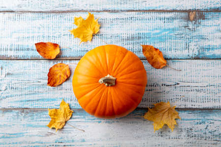 Pumpkin with autumn leaves. Blue wooden background. Close up. Top view.の写真素材
