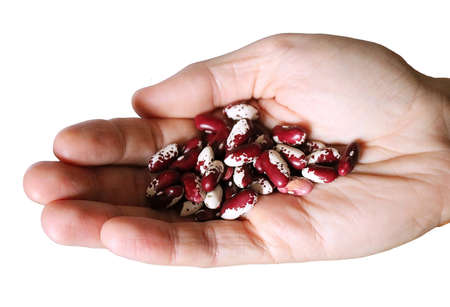 Red beans in white on white background