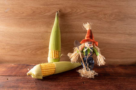 Wooden table with typical Brazilian Festa Junina foods. Straw manの写真素材