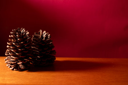 Christmas pine trees on red backgroundの写真素材