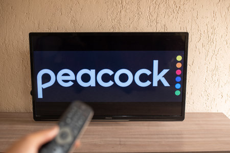 Brazil, Rio de Janeiro - May 19, 2023:  a close-up of a hand holding a TV remote control seen in...