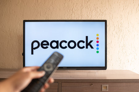 Brazil, Rio de Janeiro - May 19, 2023:  a close-up of a hand holding a TV remote control seen in...