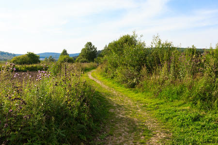 Rural road leading to the houses and the mountainsの写真素材