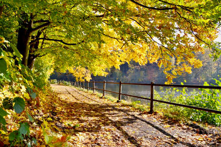 Beautifully colored autumn trees. Trail near the water.