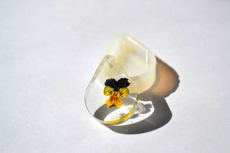 Dried pansy flower. Silicone mold isolated on white background. Handmade jewelry.の写真素材