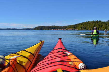 Group of friends on sea kayak in Pacific Ocean near Vancouver Island. Colorful Kayaks, Trees on the...