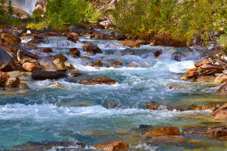 Beautiful cascade mountains stream. Blue river, brown stones in the water, green bushes on the...