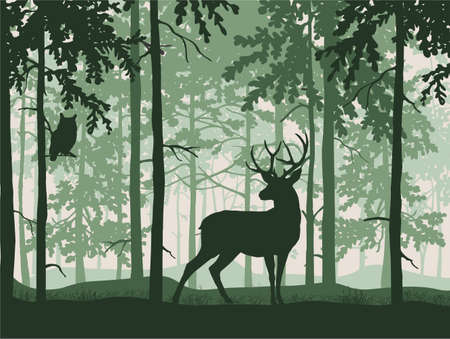 Deer with antlers posing, forest background, silhouettes of trees. Magical misty landscape. Illustration.のイラスト素材