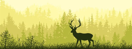 Horizontal banner. Silhouette of deer standing on meadow in forrest. Silhouette of animal, trees, grass. Magical misty landscape, fog. Green, black illustration.のイラスト素材