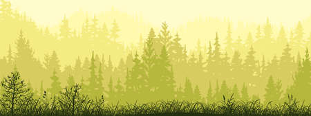 Horizontal banner of forest background, silhouettes of trees. Magical misty landscape, fog. Green and yellow illustration. Bookmark.のイラスト素材