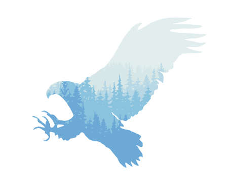 Forest in silhouette of flying bird of pray. Trees, hunting eagle. Blue wild landscape vector...