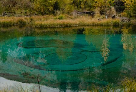 Amazing landscape with crystal clear water of the pond among woodsの写真素材