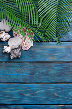 Palm leaves, shells and white pebbles on blue boards. Blue wooden background, space for textの写真素材