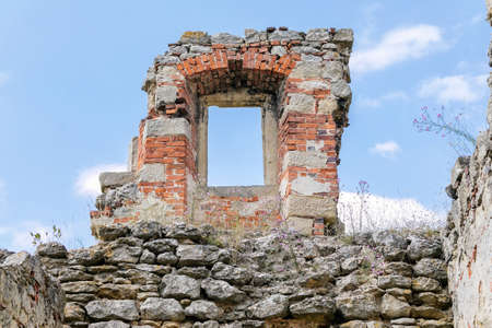 Ruins of gothic fortress and renaissance castle Zviretice, Bakov nad Jizerou, Central Bohemian...