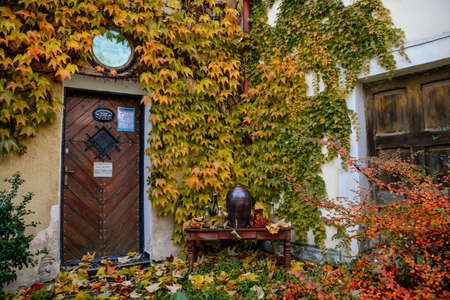 Doors and facade braided with ivy, Autumn leaves on the ground, table with bottles and vases, courtyard of the house. Medieval royal town Melnik, Central Bohemia, Czech republic, November 14, 2020のeditorial素材