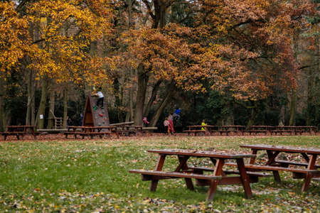 Playground and picnic area in green garden in autumn day, Loucen romantic baroque castle, Czech republic, November 17, 2020のeditorial素材