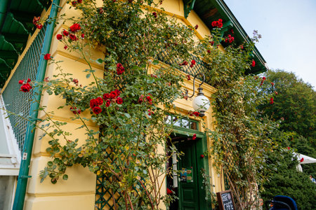 English-style park with greenhouse in autumn day, rose garden, statues near romantic medieval gothic and baroque castle Konopiste, Chateau at Central Bohemia, Czech Republic, October 1, 2017のeditorial素材