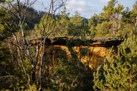 Msenske Poklicky unique sandstone table rock formation, Kokorin Protected landscape Area, forest in...