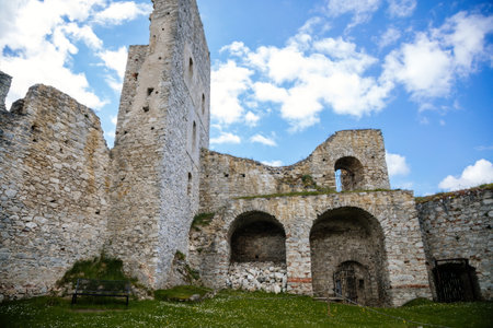 Stone gothic ruins of old medieval castle Rabi in National Park Sumava, ancient fortress in sunny spring day, landmark in countryside, stronghold on the hill, Rabi, Czech Republic, May 29, 2021のeditorial素材
