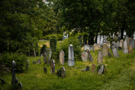 Mikulov, South Moravian Region, Czech Republic, 05 July 2021: Old tombs at historic Jewish Cemetery, Gray and white tombstones historical monuments in green grass at summer sunny day.のeditorial素材