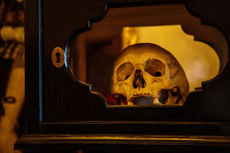 Kuks, East Bohemia, Czech Republic, 10 July 2021: Baroque castle and hospital Kuks, Decorative historic museum interior, portrait of a woman and a skull in a glass box.のeditorial素材