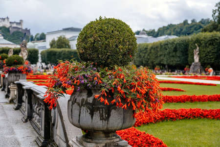Salzburg, Austria, 28 August 2021: Famous Mirabell gardens near palace, geometrically arranged park, green grass and flowers at summer day, was featured in Sound of Music, Red roses and stone vases