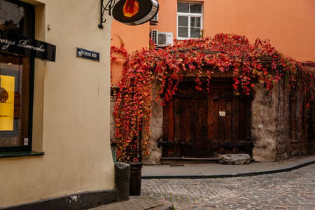 Riga, Latvia, 14 October 2021: vintage wooden doors, curly red and may ivy, Facade of colorful buildings in historic center of medieval city, renaissance and baroque houses at autumn sunny dayのeditorial素材