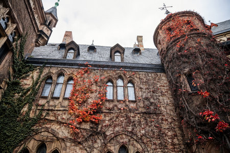 Wernigerode, Saxony-Anhalt, Germany, 29 October 2022: Castle with tower in Harz mountains above town, Neo-Romantic style or historicism, Sculptures of griffins, dragon and eagles, sunny autumn dayのeditorial素材
