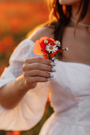 Beautiful young woman in short white dress and straw hat in field with poppies in evening at sunset and holds poppy in hand, Summer countryside nature flowers, Female relaxing, Rural simple lifeの写真素材