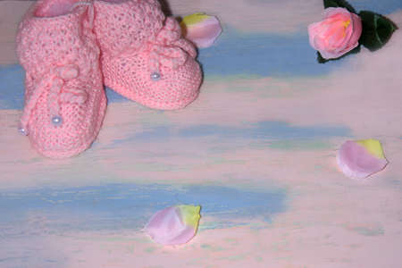 Pink knitted baby shoes booties on a pink-blue wooden table with with rose petals.の写真素材