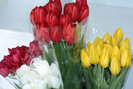 Beautiful multicolored flower bouquets. Various fresh tulips at flower shop. Wholesale or retail flower store. Plant warehouse. Florist agency. Growing and cultivation of flowersの写真素材