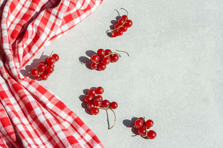 Bunches of red currants on a light table with copy space with a hard shadow.の写真素材