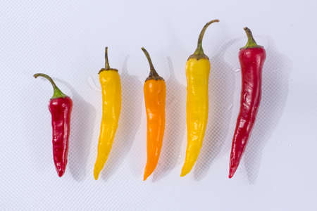 Several multi-colored hot chili peppers on a light background.