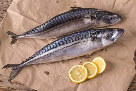 Two freshly frozen mackerels on wrapping paper with lemon wedges.の写真素材