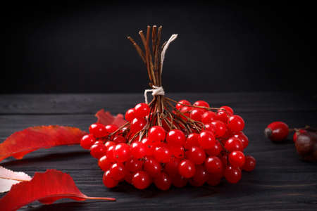A bunch of red rowan berries on a wooden table with autumn leaves.の写真素材