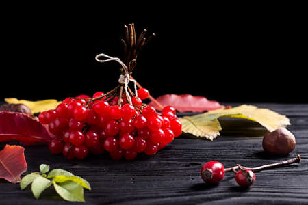 A bunch of red rowan berries on a wooden table with autumn leaves and rose hips.の写真素材