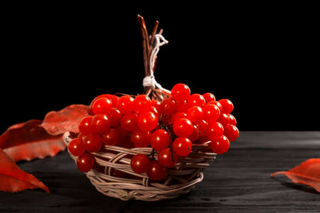 A bunch of red rowan berries on a wooden table with autumn leaves.の写真素材