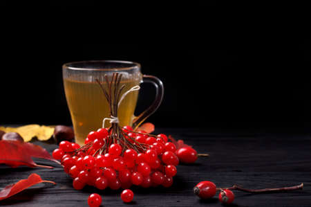 A bunch of red rowan berries on a wooden table with autumn leaves and a cup of tea.の写真素材