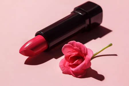 Pink lipstick in a black tube with a fresh pelargonium flower on a pink background with a hard shadow. Decorative cosmetics. Close-up.の写真素材