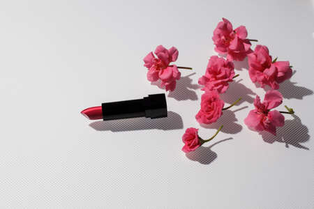 Pink lipstick in a black tube with a fresh pelargonium flowers on a light background with a hard shadow. Decorative cosmetics. Copy spaceの写真素材