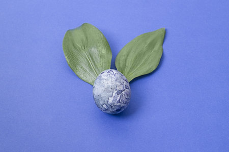 Easter egg in a nest and easter bunny ears on a blue background with copy space. Easter background. top view.の写真素材