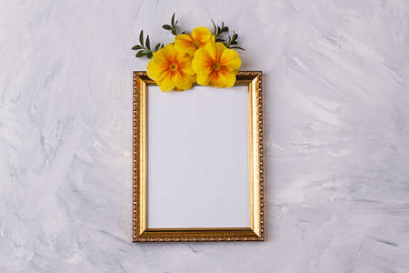 Flat lay with empty golden photo frame and yellow primrose flower on light background. Top view,...