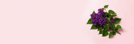 Banner with purple lilac branches on a pink pastel background. Creative concept with place for your design.の写真素材