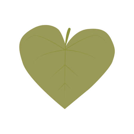 Moning glory flower leaf hand drawn isolated on white backgroundのイラスト素材