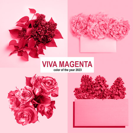 Collage with color of the year 2023 - Viva Magenta.の写真素材
