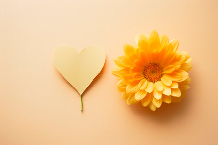 Yellow daisy and paper heart on a beige background, top viewの素材