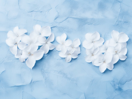 Delicate white flowers arranged in rows on a blue textured backgroundの素材