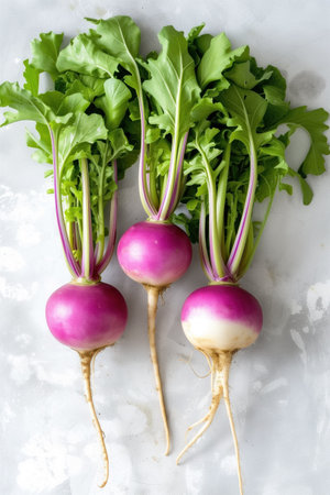 Fresh organic turnips with vibrant purple tops and green leavesの素材