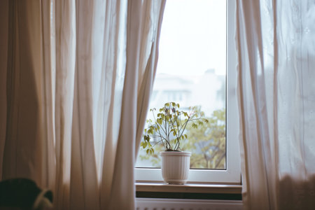 Potted plant placed on windowsill with sheer curtains gently flowing. Concepts of home decor, tranquility, and natural light.の素材