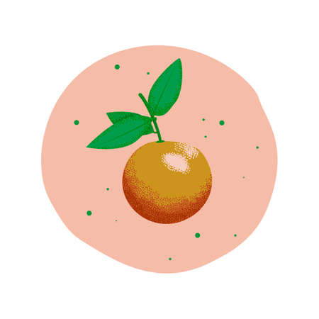 Grapefruit and leaves on a branch. Vector illustration with grain texture.のイラスト素材